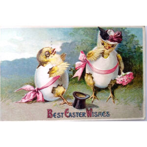 Easter Postcard Fantasy Dressed Baby Chicks Inside Eggs Germany Embossed 1910